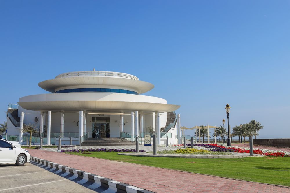Gallery 6