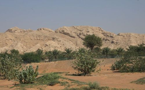 بلدية مدينة المدام